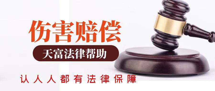 流浪狗、流浪猫伤人，谁担责？